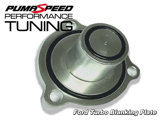 Turbo Blanking Plate for Ford Focus RS Mk2 / ST 225